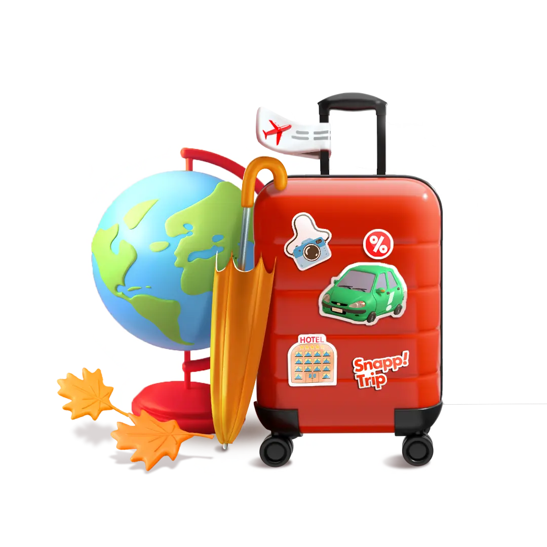 trip-bag
