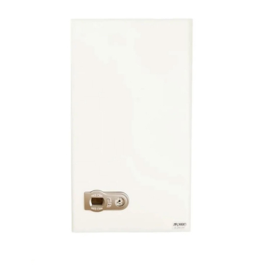 Iran Radiator A22FF wall-mounted combi boiler