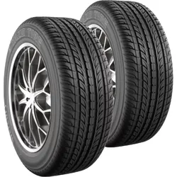 Pair of passenger car tires with alloy rims