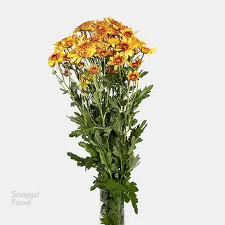 دسته گل داوودی نارنجی