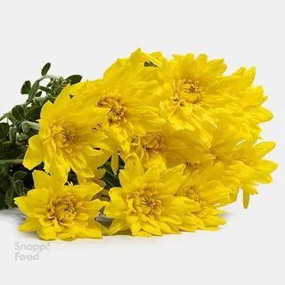 دسته گل داوودی زرد