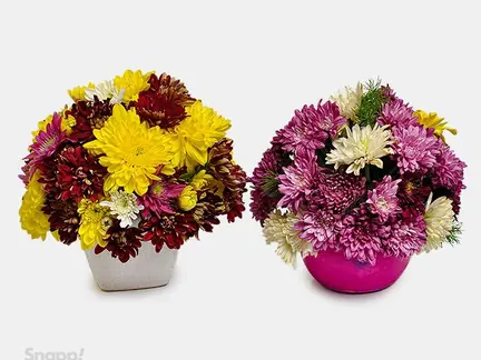 باکس گل طبیعی