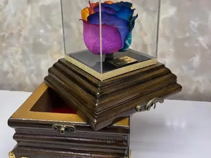 رز جاودان رنگین کمان