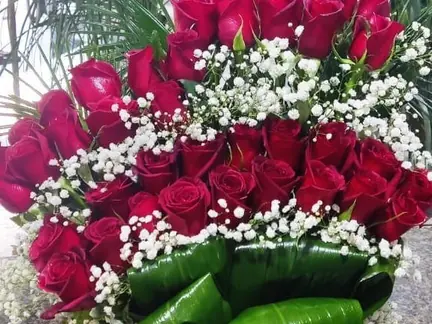 سبد رز هلندی طیف قرمز