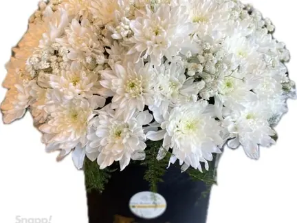 سبد گل داوودی