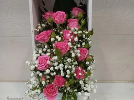 باکس سفید