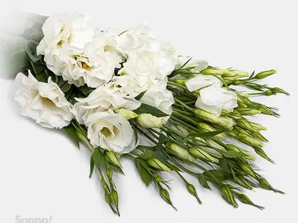 دسته گل لیسینتیوس سفید