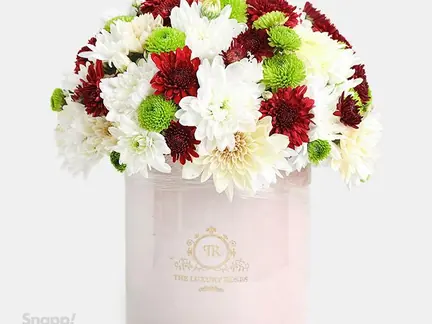 باکس گل داوودی و رز