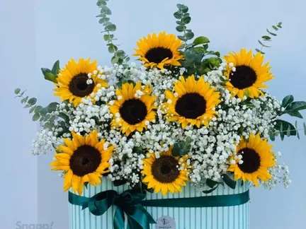باکس پاییزی سبز