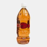 خرید شربت سکنجبین