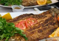 ماهی کبابی، تنوری و رژیمی استار فیش
