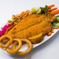 خرید خوراک ماهی قزل آلا سرخ شده