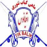 ماهی کباب تنوری رژیمی اقیانوس