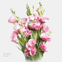 دسته گل لیسین توس صورتی