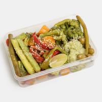 دورچین رژیمی