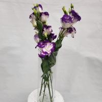 دسته گل لیسیانتوس