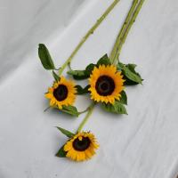 آفتابگردان
