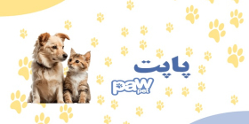 پت شاپ پاپت