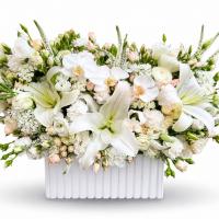 باکس مروارید زیبا