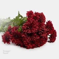 دسته گل داوودی زرشکی