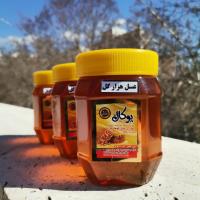 عسل هزار گل (۶۰۰ گرم)