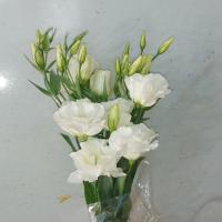 دسته گل لیسیانتوس سفید