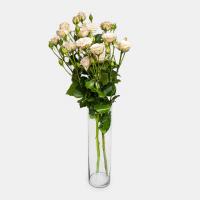 دسته گل رز مینیاتوری گلبهی