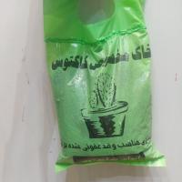 خاک کاکتوس