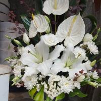 باکس گل برای ترحیم