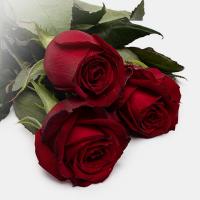 دسته گل رز قرمز 3 شاخه
