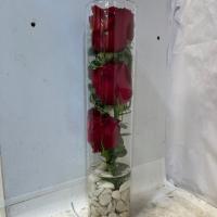 استوانه گل رز