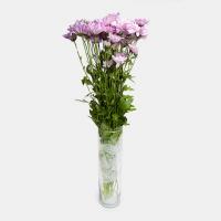 دسته گل داوودی مینیاتوری صورتی
