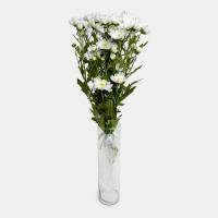 دسته گل داوودی مینیاتوری سفید