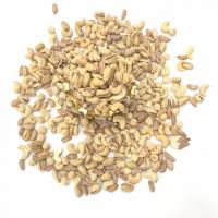 آجیل اریایی شور