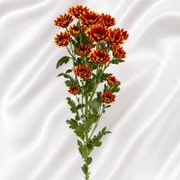 دسته گل داوودی نارنجی