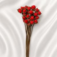 دسته گل پنبه قرمز