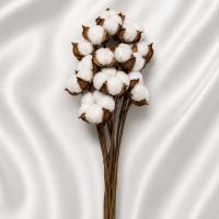 دسته گل پنبه سفید