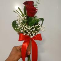 2 شاخه رز