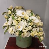 باکس یک طرفه ساینا