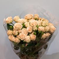 دسته گل رز مینیاتوری کرم دسته درشت