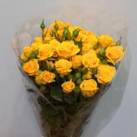 دسته گل رز مینیاتوری زرد دسته درشت