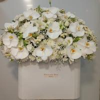 باکس‌بزرگ‌سفید