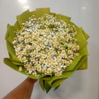 دسته گل بابونه