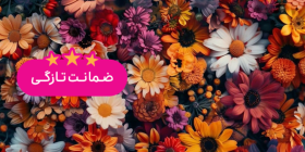 گلکده اریکا
