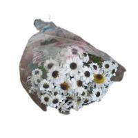 دسته گل داوودی بابونه