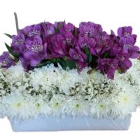 باکس گل مستطیل بزرگ داوودی و آلستر