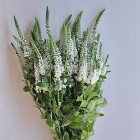 دسته گل ورونیکا سفید