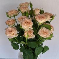 دسته گل رز مینیاتوری گلبهی