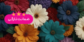 گل رزلند