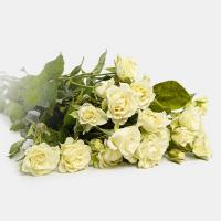 دسته گل رز مینیاتوری سفید